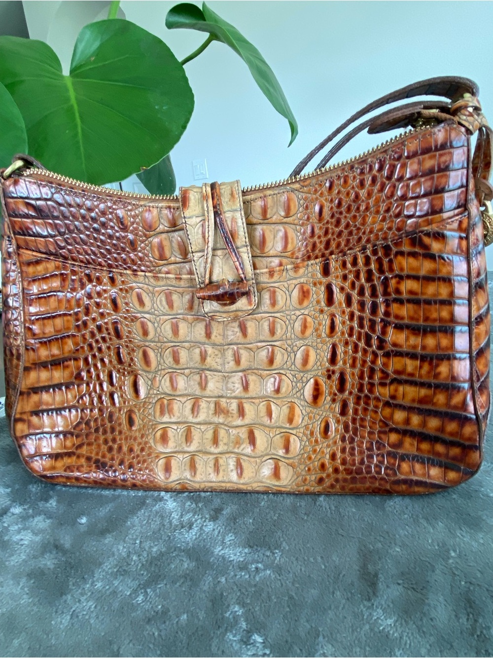 Brahmin Purse